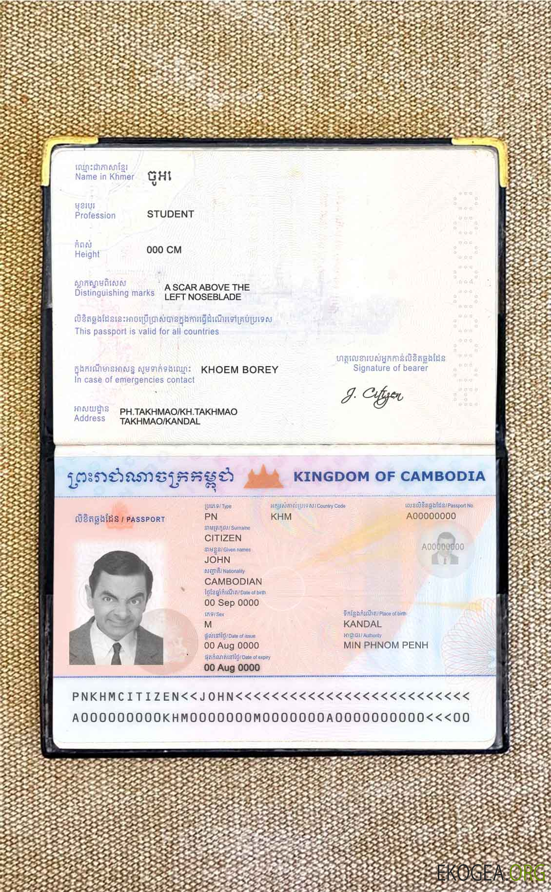 Look de photo de passeport cambodgien